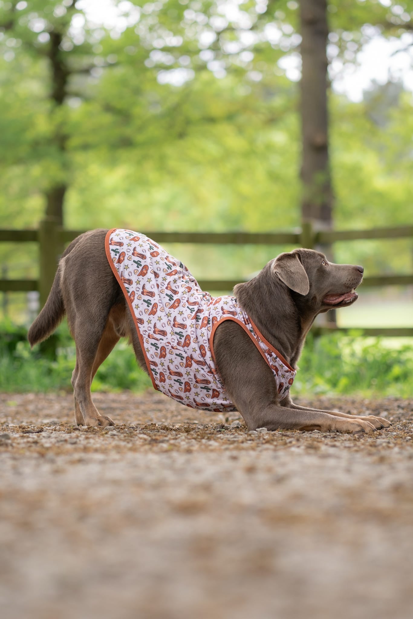 The Howdy Pawtner Cooling Vest