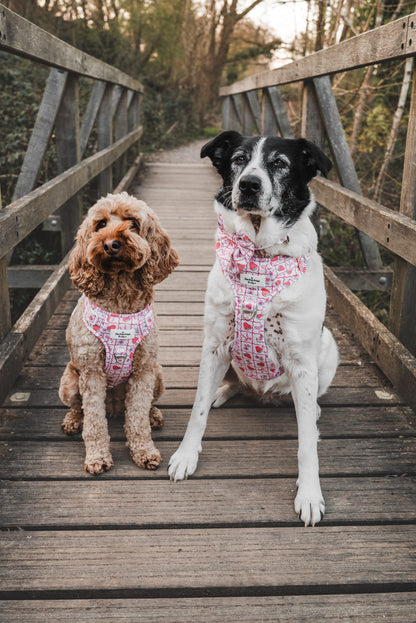 The Bows & Berries Adventure Paws Harness