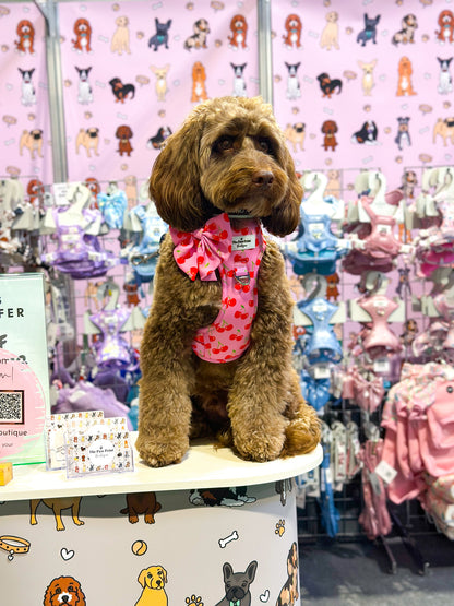Cherry on Top Adventure Paws Harness