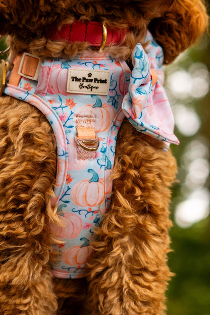 Pablo’s Pumpkins Adventure Paws Harness