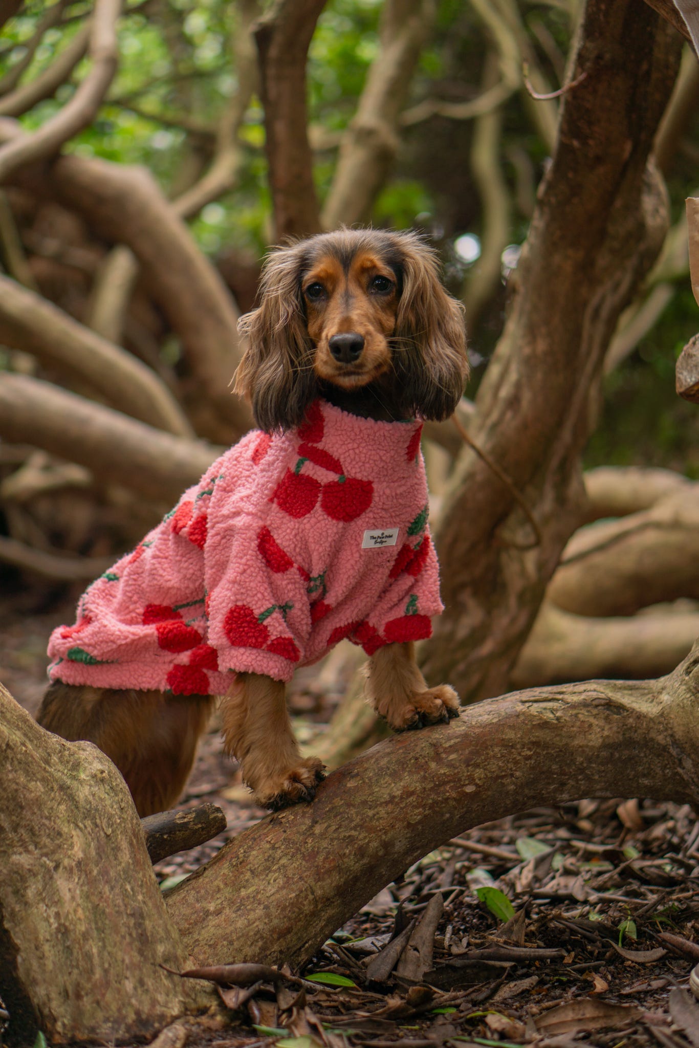 The Cherry Fleece
