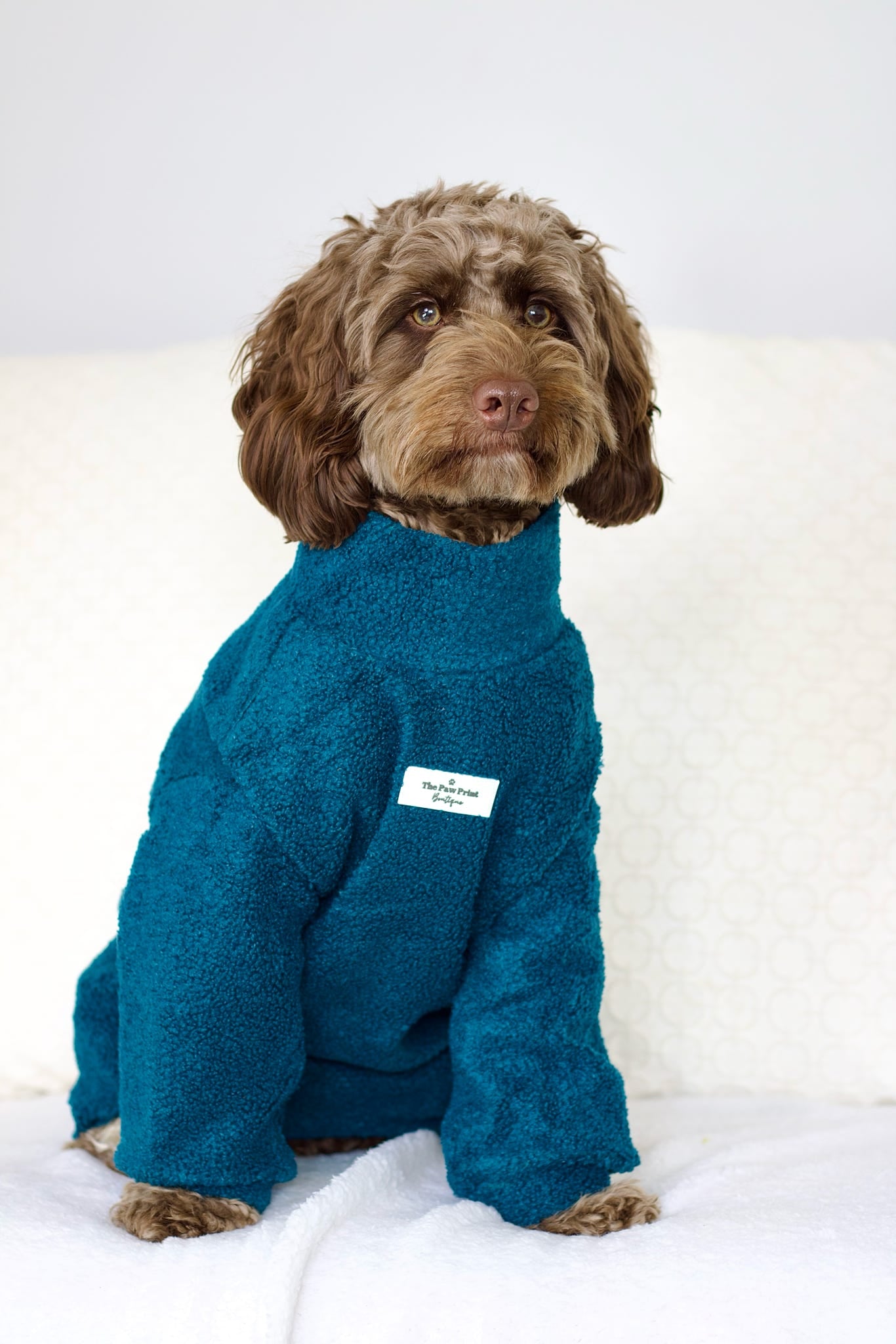Teddy Fleece - Teal