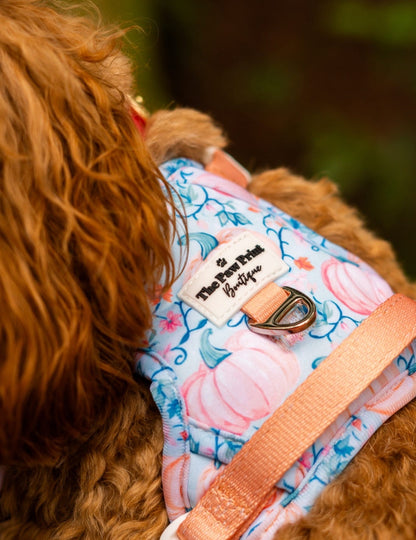 Pablo’s Pumpkins Adventure Paws Harness