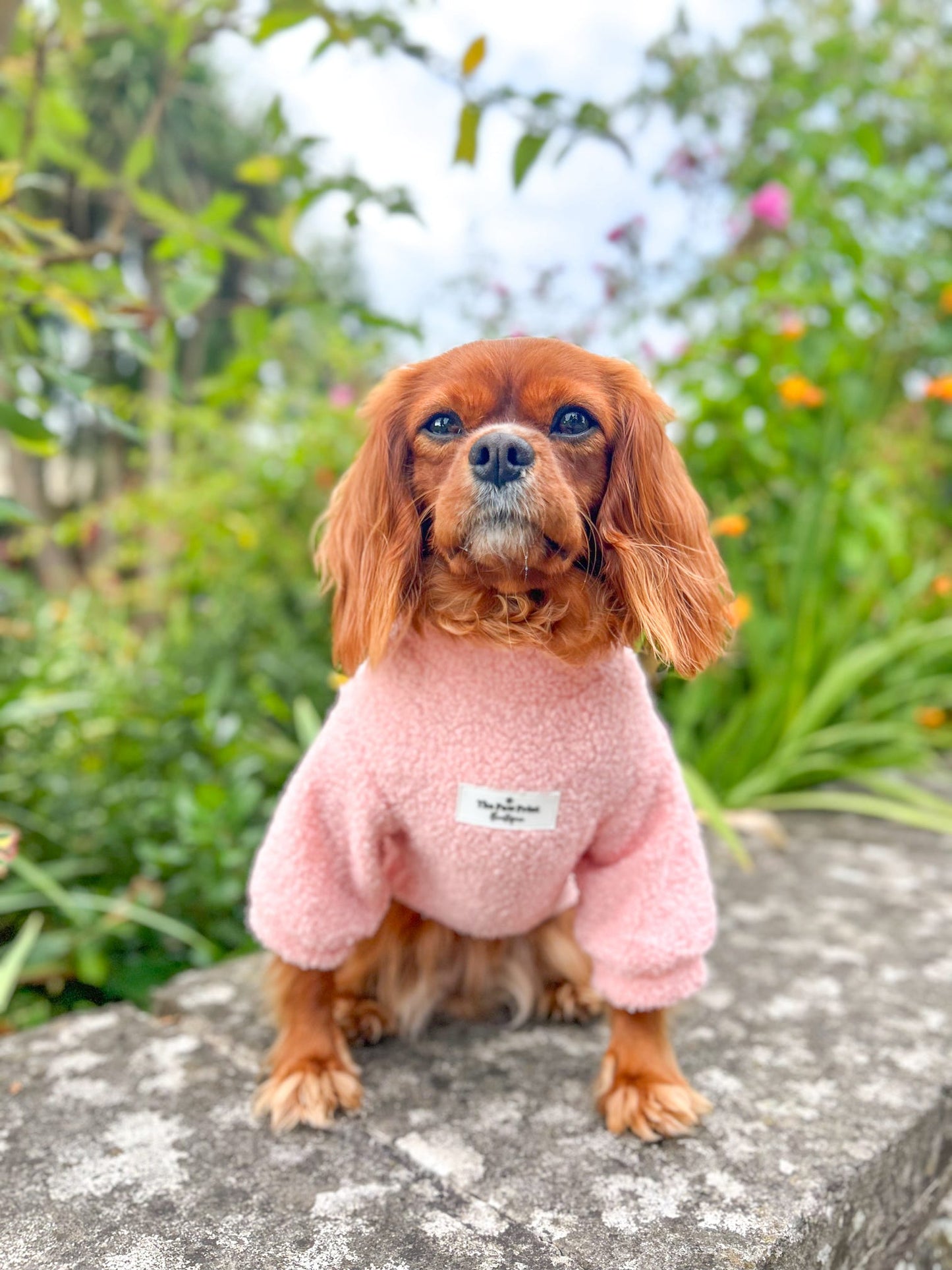 Teddy Fleece - Baby Pink