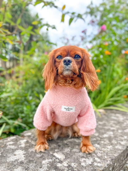 Teddy Fleece - Baby Pink
