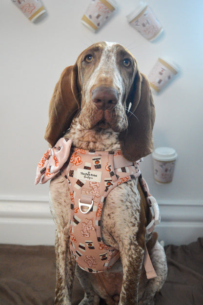 Spice Girl Adventure Paws Harness