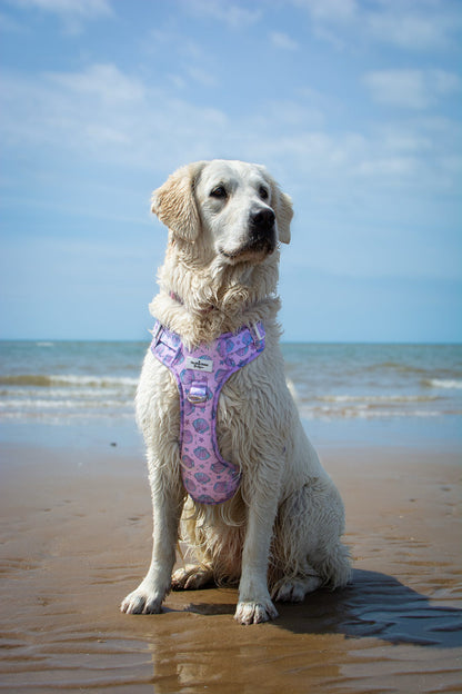 Mermaids Tails Adventure Paws Harness