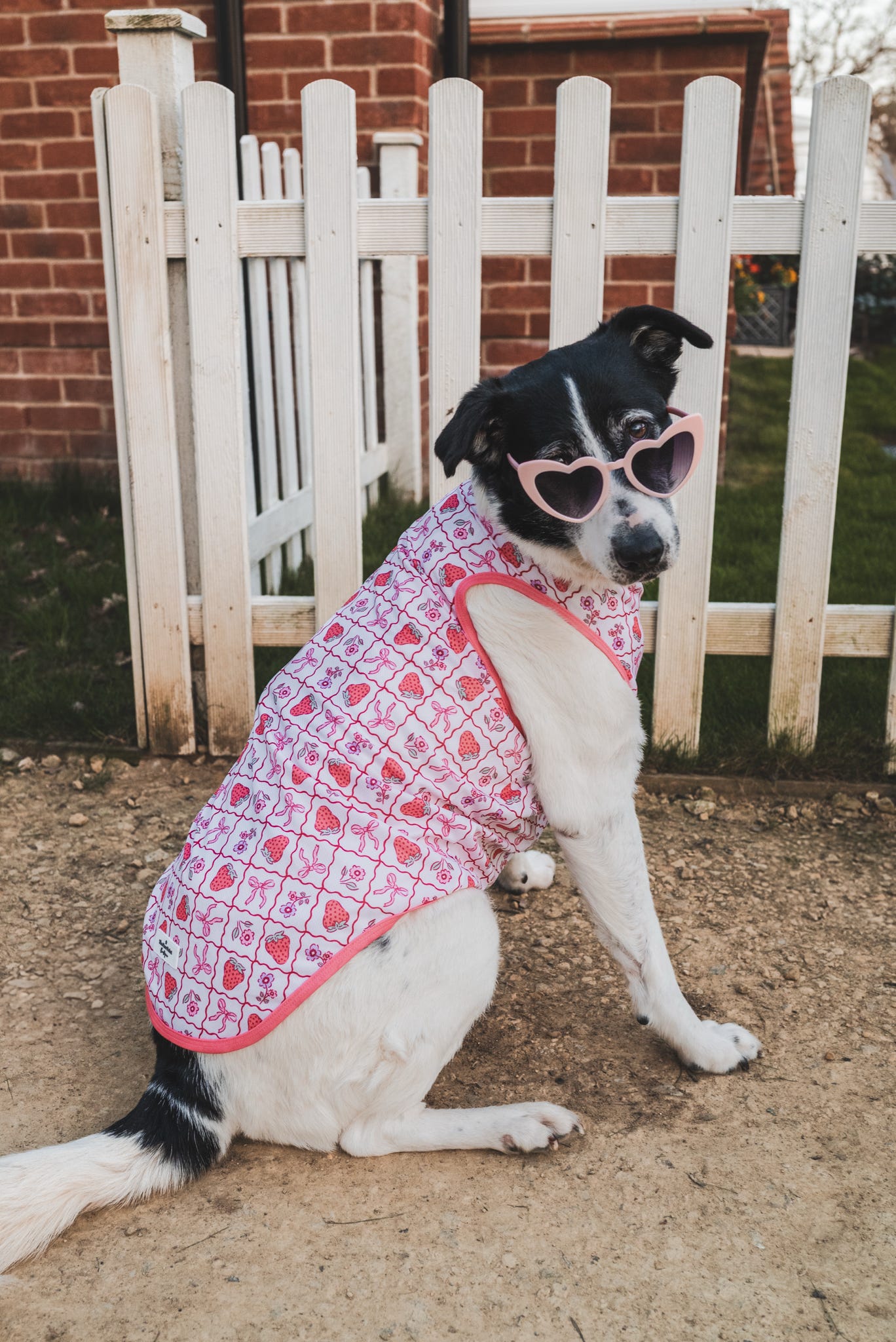Bows & Berries Cooling Vest