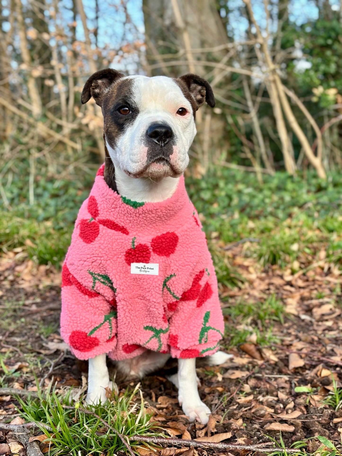 The Cherry Fleece