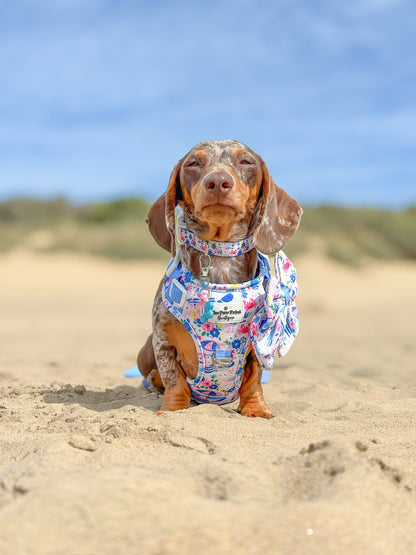 Santorini Seagulls Adventure Paws Harness