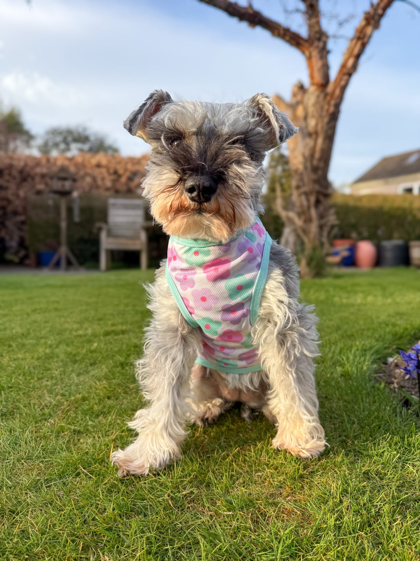 Minty Meadows / Flower Power Cooling Vest