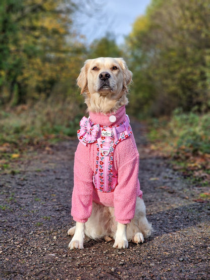 Teddy Fleece - Candy Floss