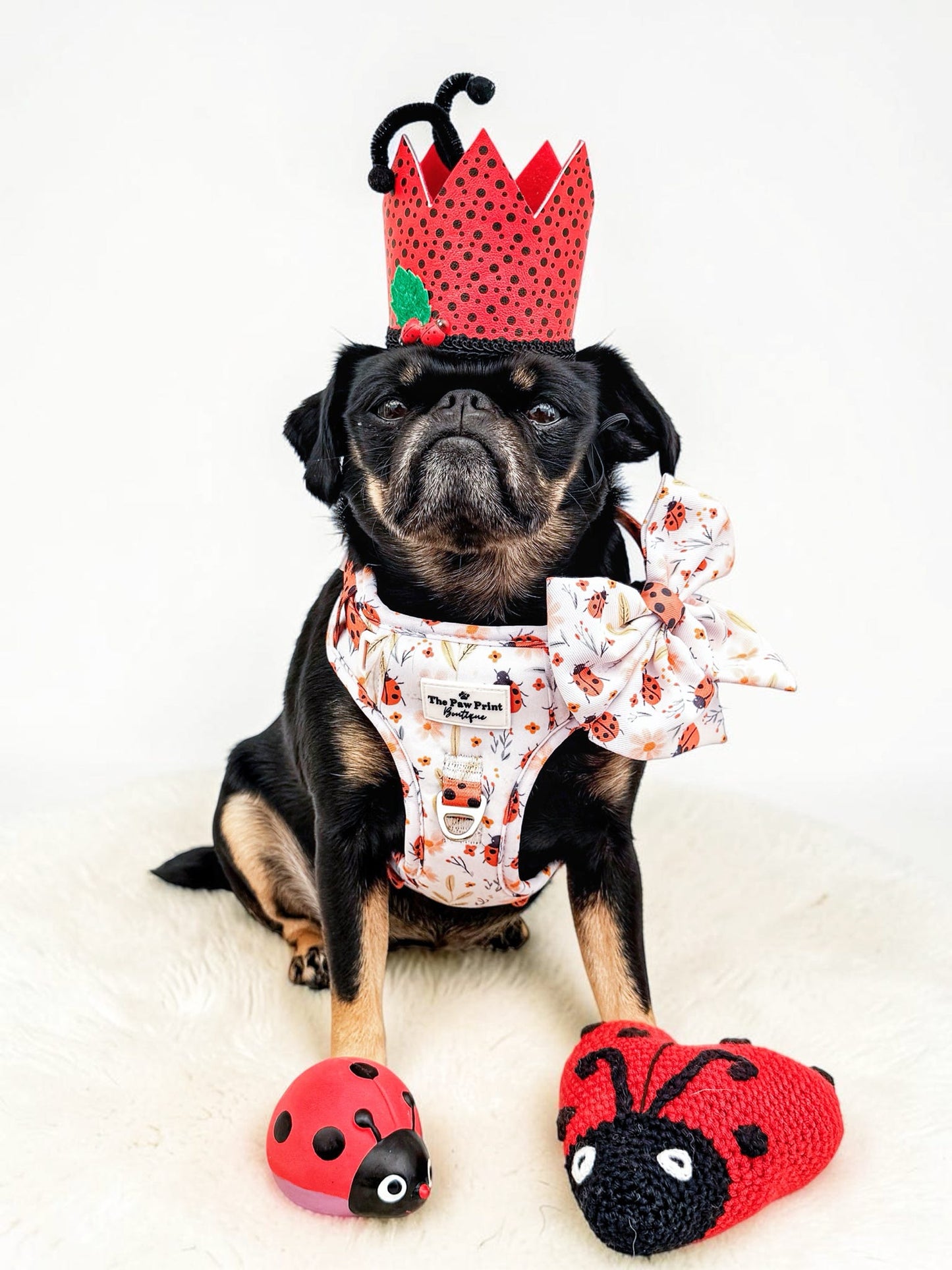 Ladybird Lane Adventure Paws Harness