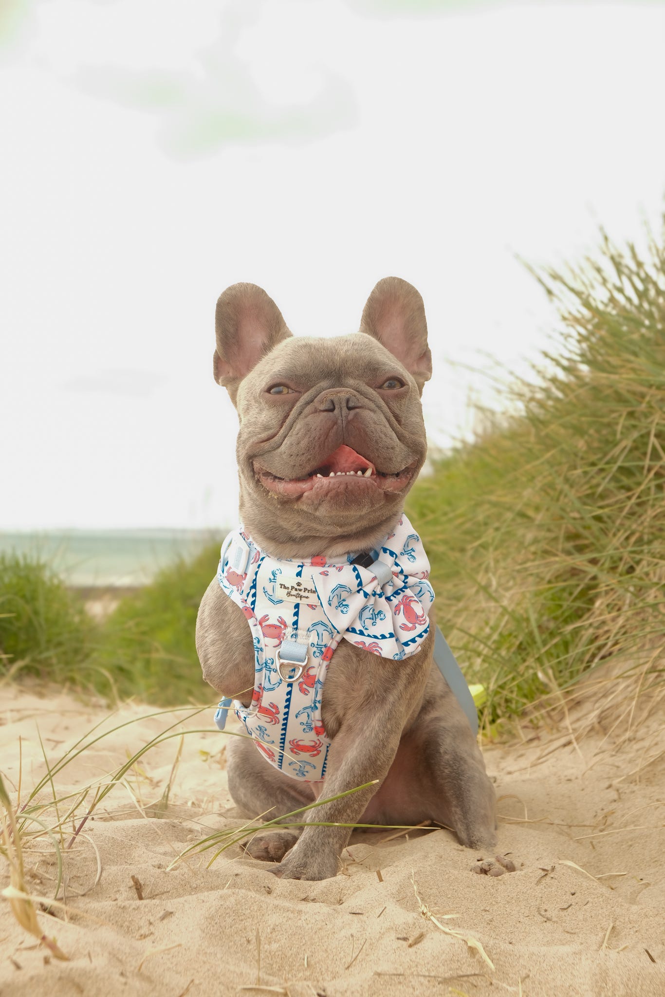 Absolutely Crabulous Bow Tie