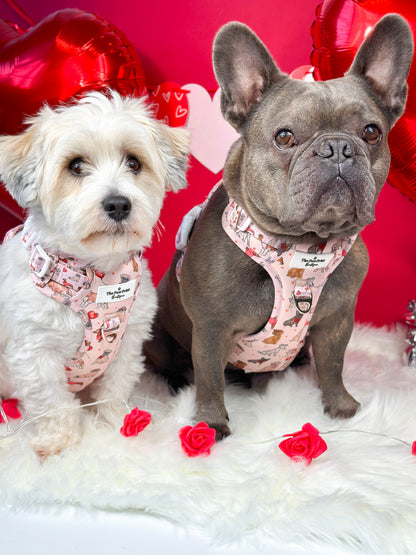 The Puppy Love Adventure Paws Harness