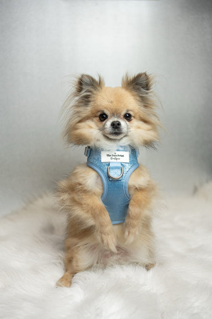 The Ocean Blue Adjustable Harness