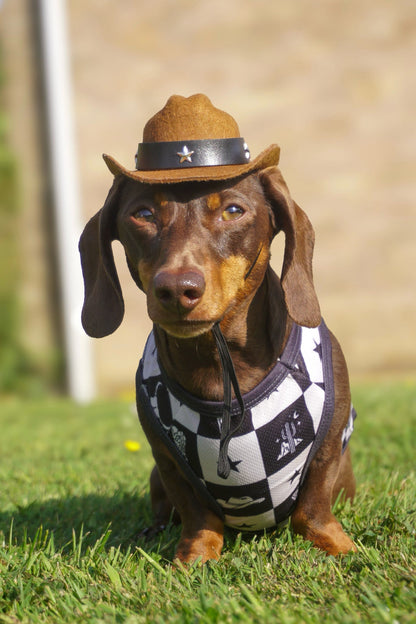 Wild West Cooling Vest