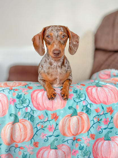 Pablo’s Pumpkins Dog Blanket