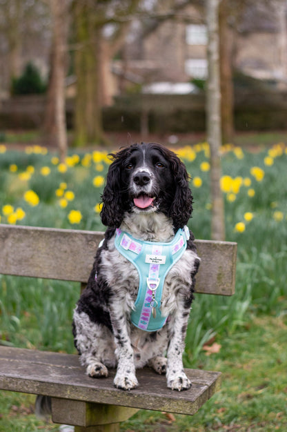 The Minty Meadows Adventure Paws Harness
