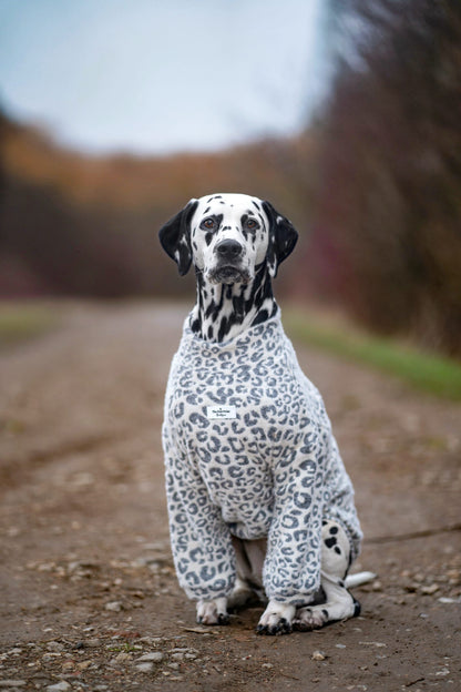 The Grey & Glittery Leopard Print Teddy Fleece