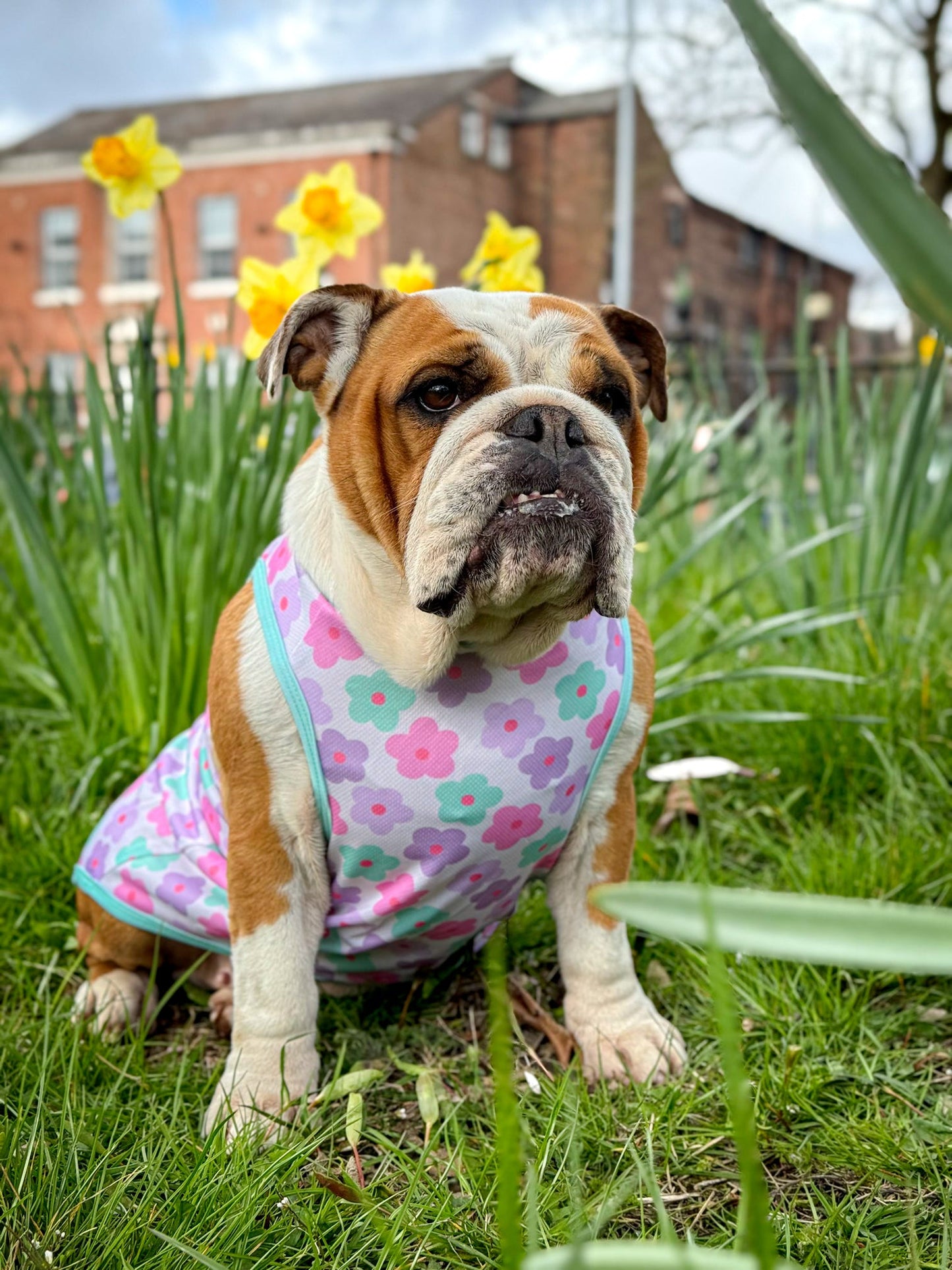 Minty Meadows / Flower Power Cooling Vest