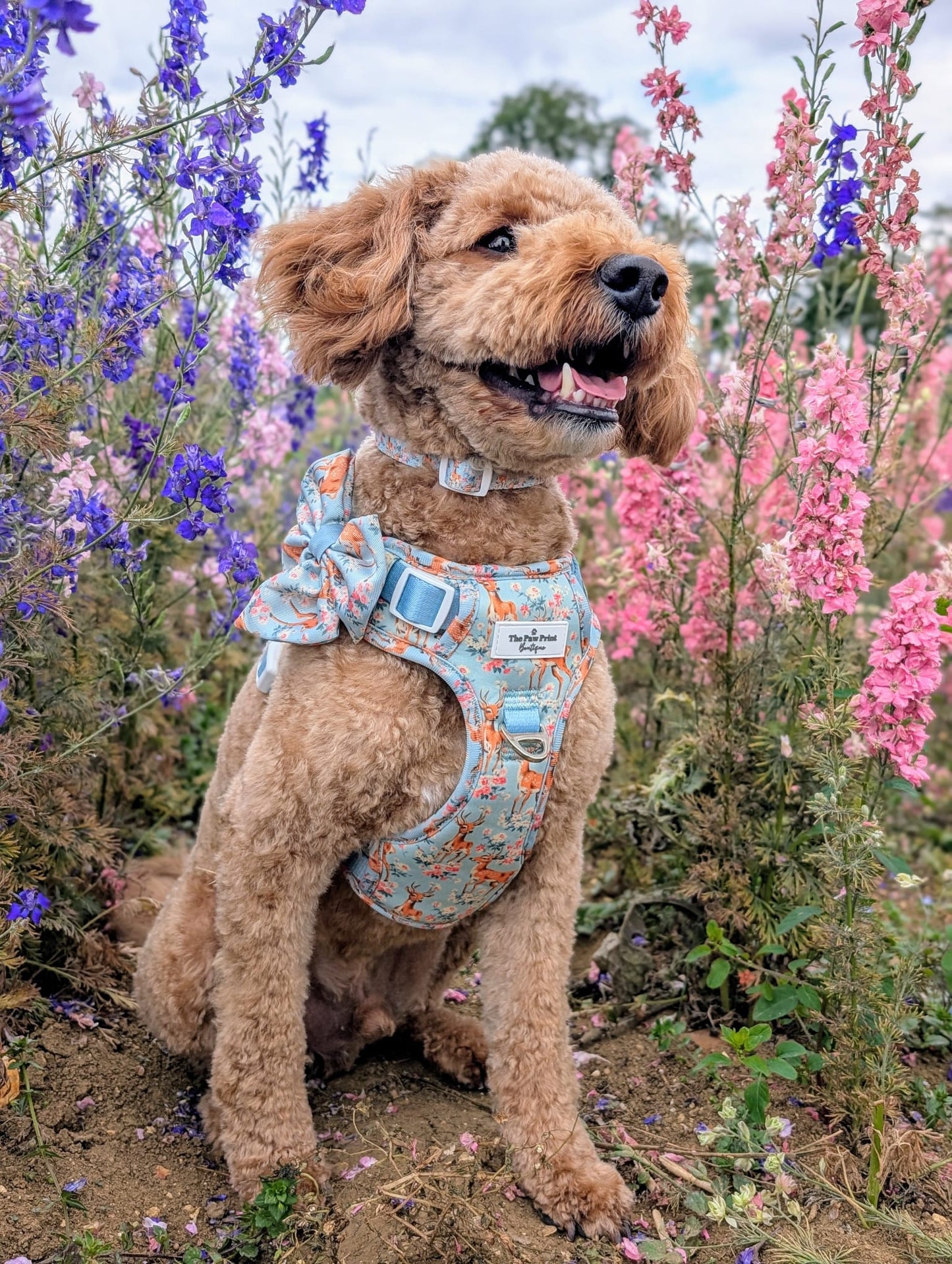 Bambi in Bloom Adventure Paws Harness