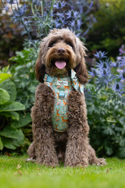 Bambi in Bloom Adventure Paws Harness