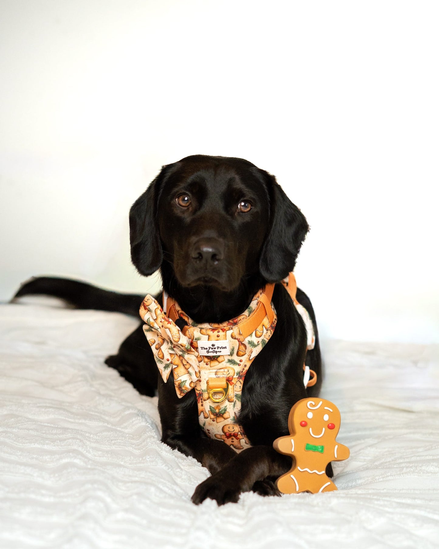 Gingerbread Grove Bow Tie