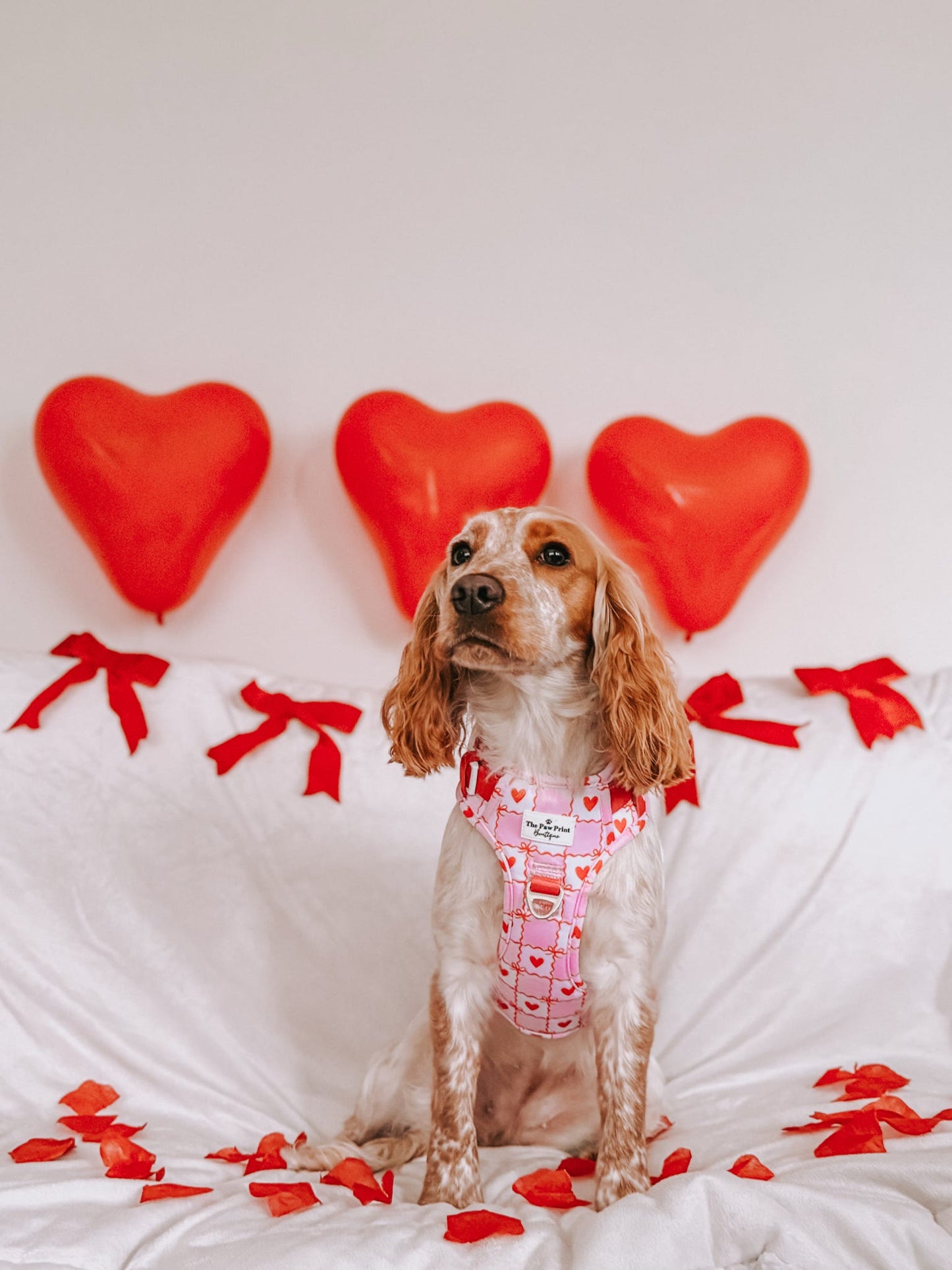 Pink Chequered Hearts Adventure Paws Harness