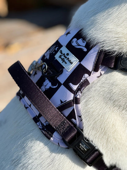 The Wild West Adventure Paws Harness