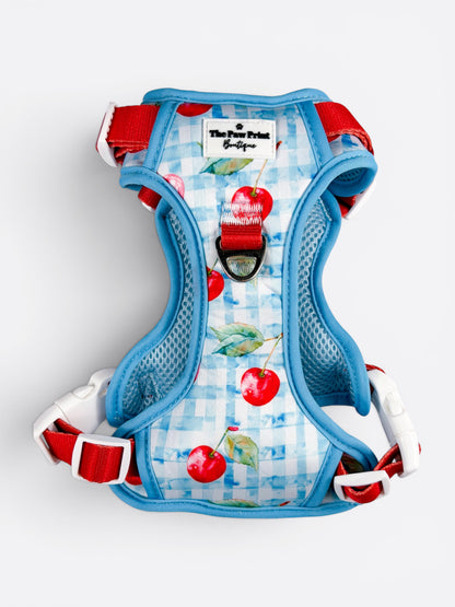 Cherry Gingham Adventure Paws Harness