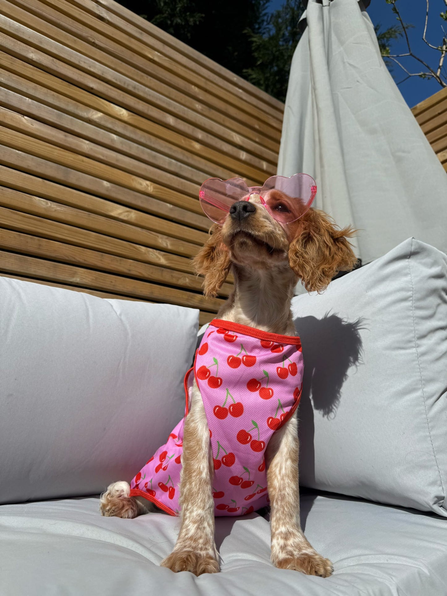 The Cherry on Top Cooling Vest