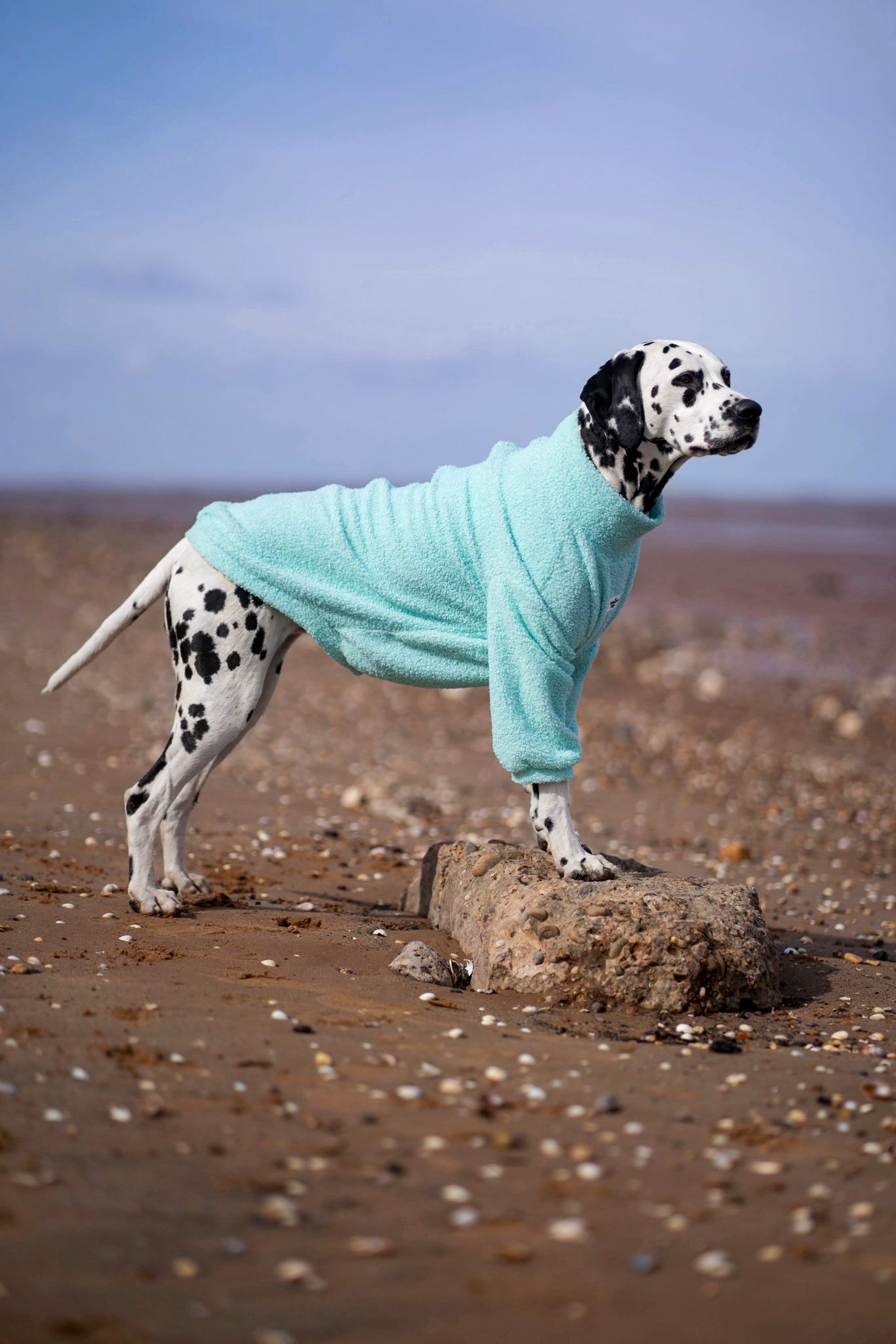 Teddy Fleece - Mint