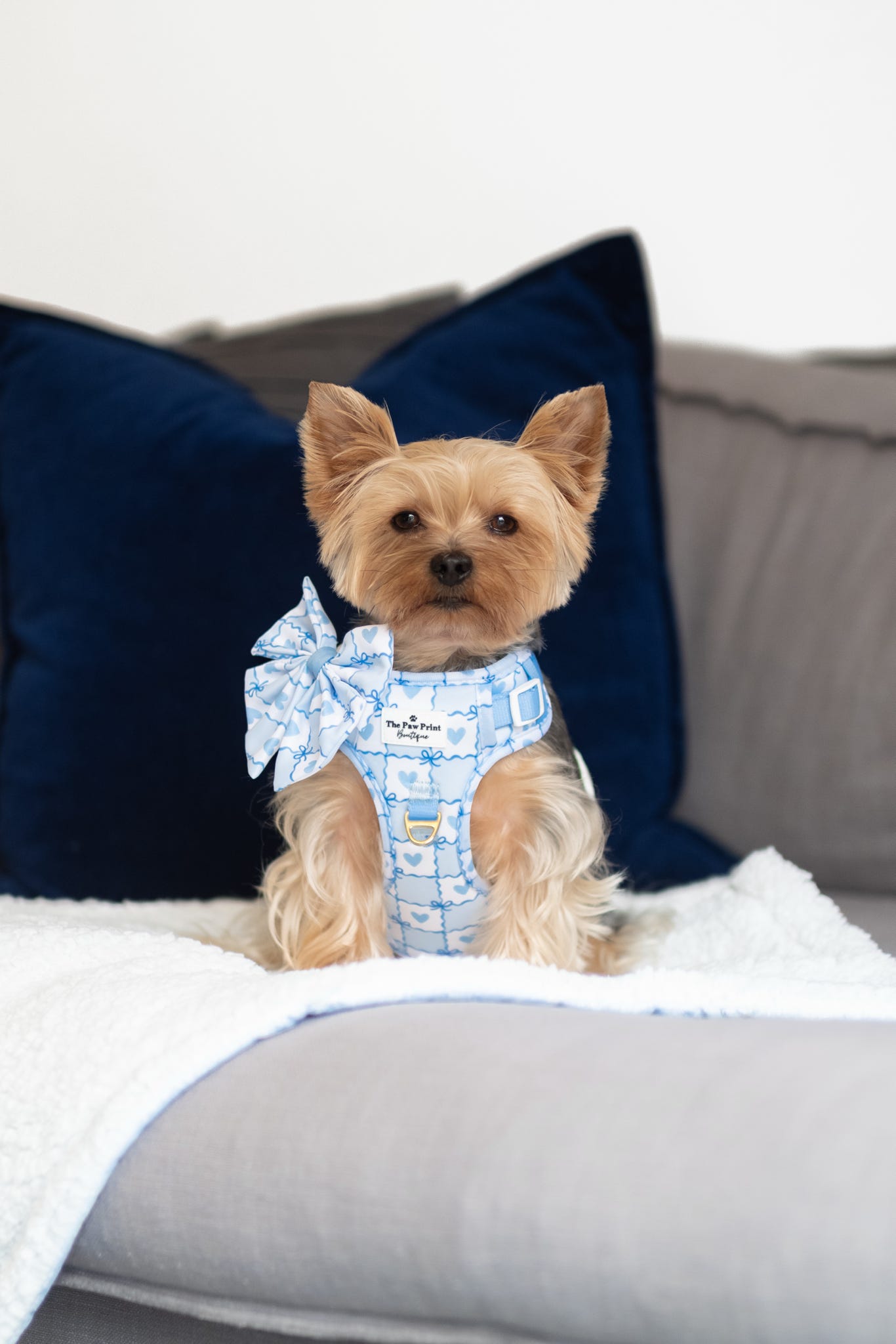 Blue Chequered Hearts Adventure Paws Harness