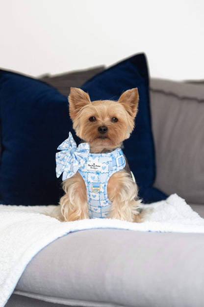 Blue Chequered Hearts Adventure Paws Harness