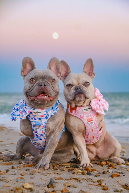 Santorini Seagulls Adventure Paws Harness