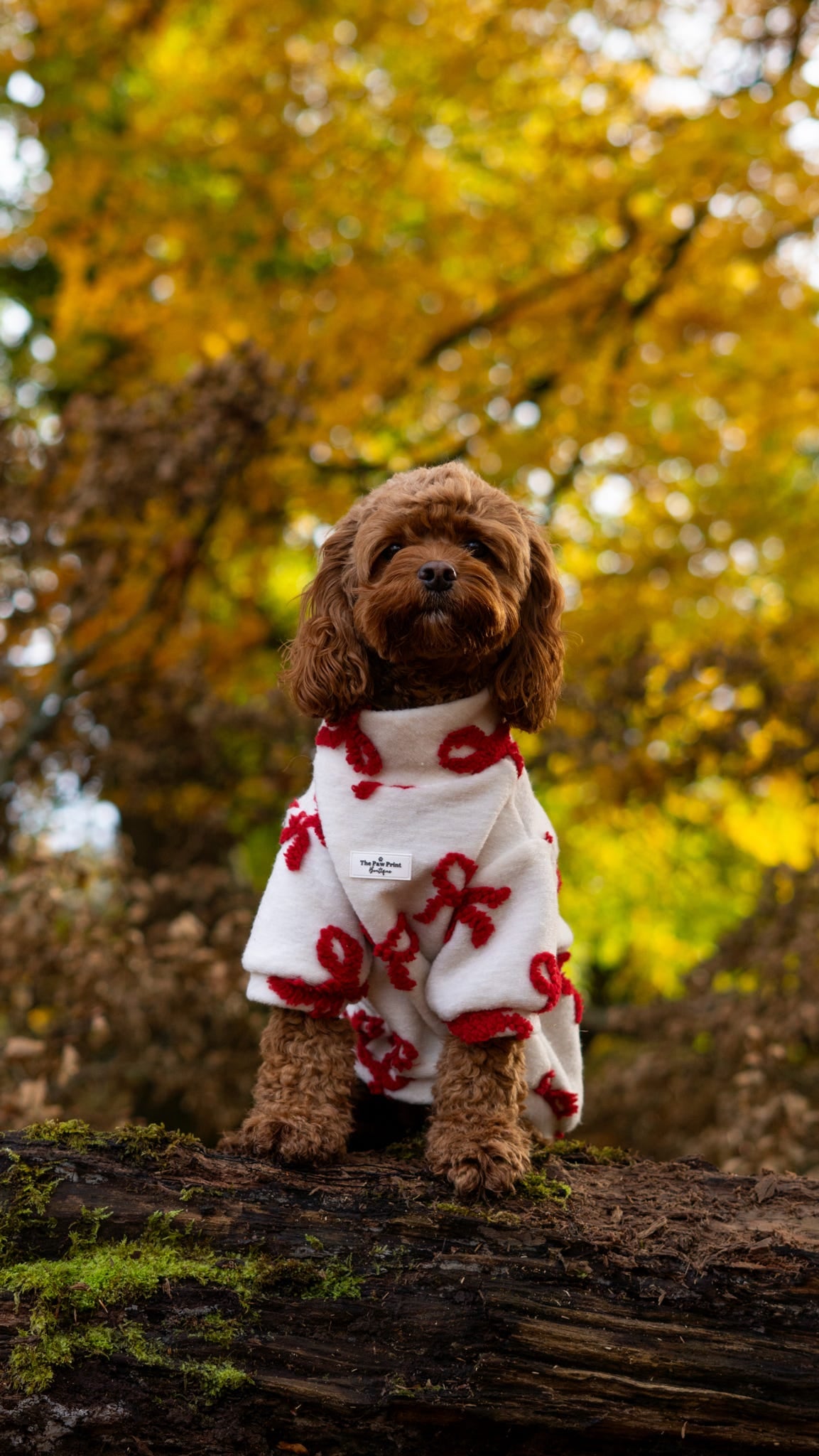 The Red Bow Fleece