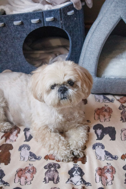 Shih Tzu Dog Blanket