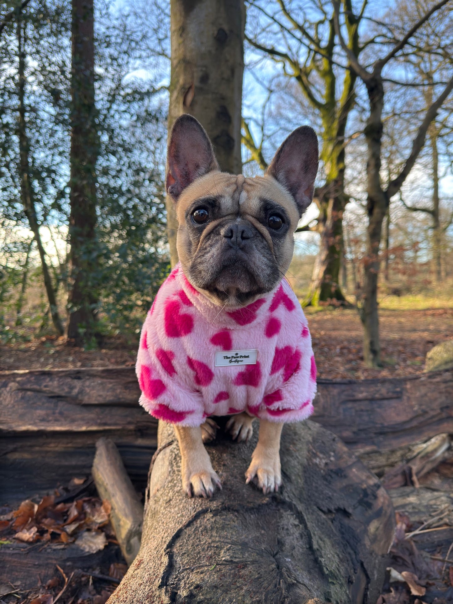 The Love Hearts Fluffy & Fabulous Fleece - Pink
