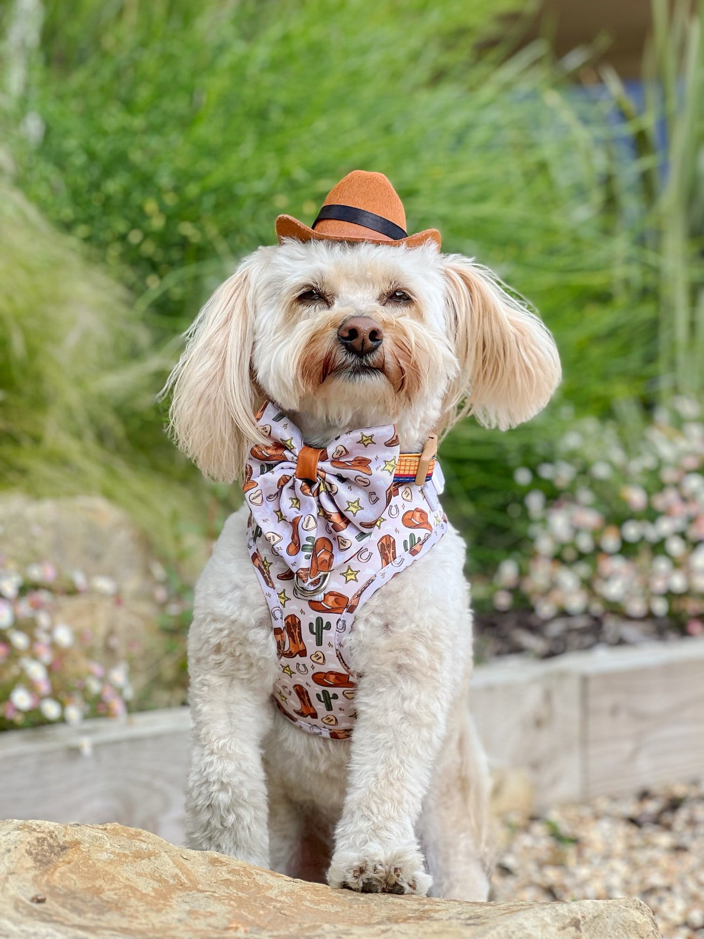 Howdy Pawtner Adjustable Harness