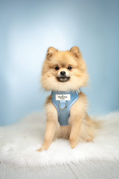 The Ocean Blue Adjustable Harness