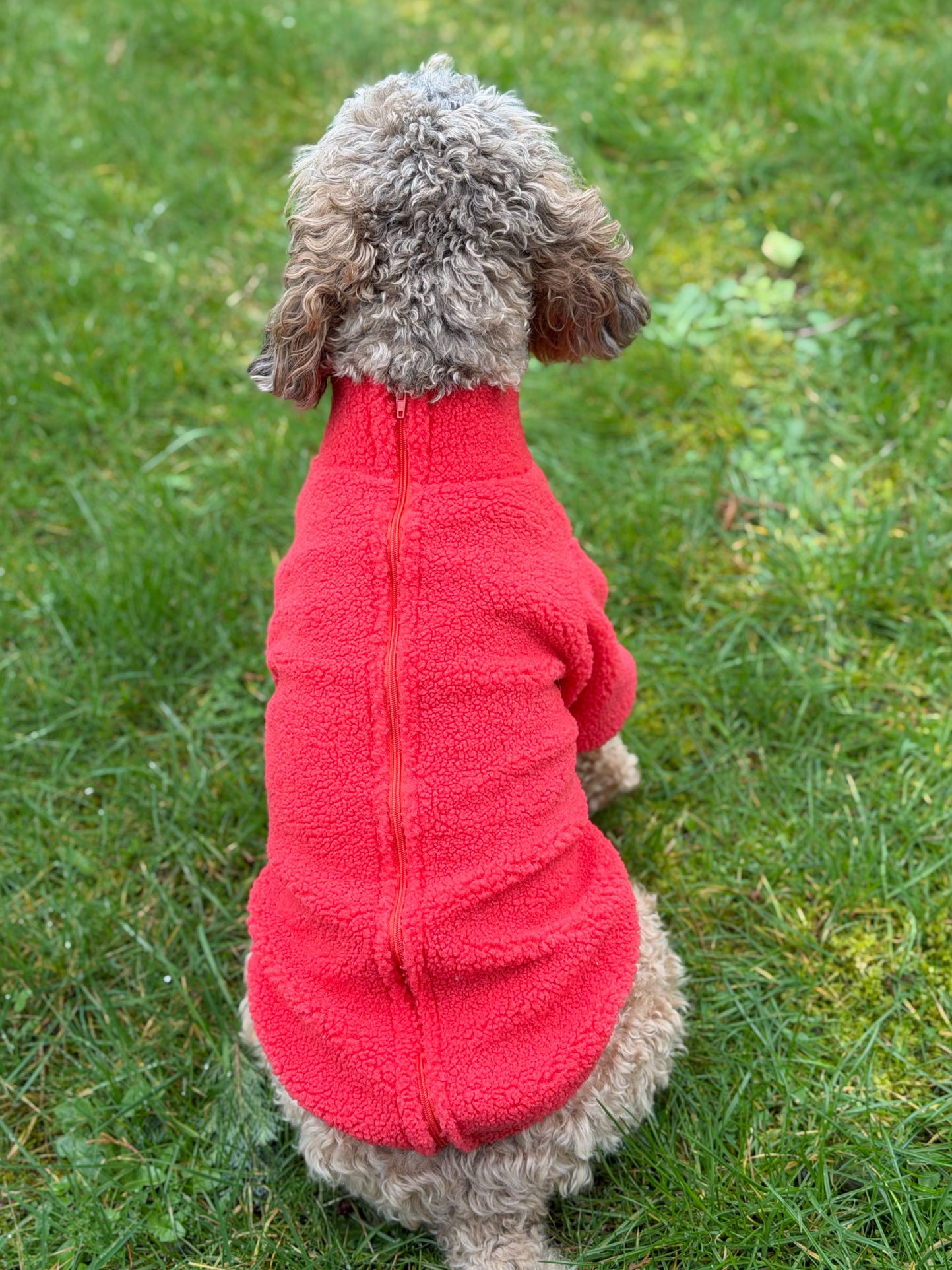 Teddy Fleece - Watermelon