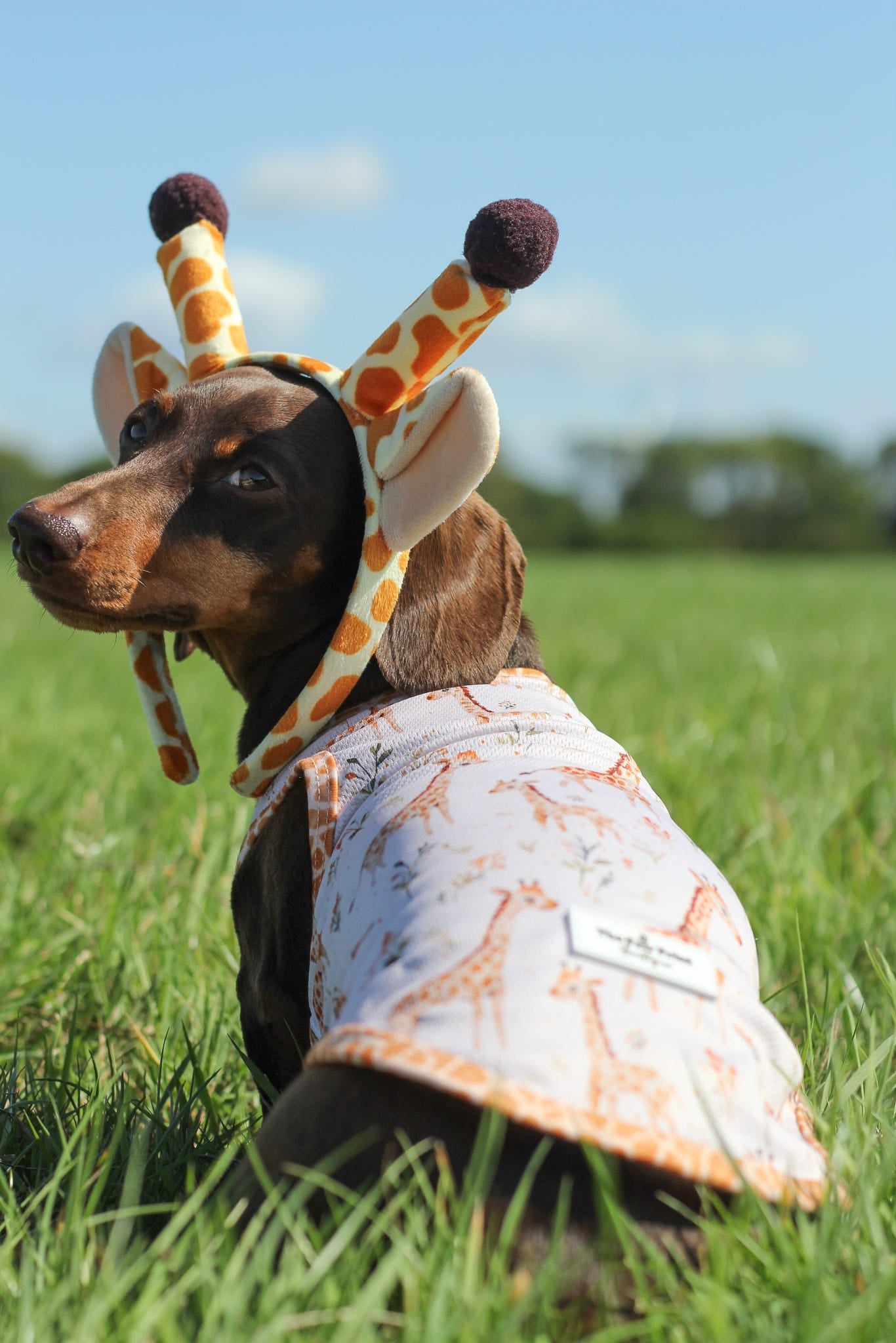 Graceful Giraffe Cooling Vest