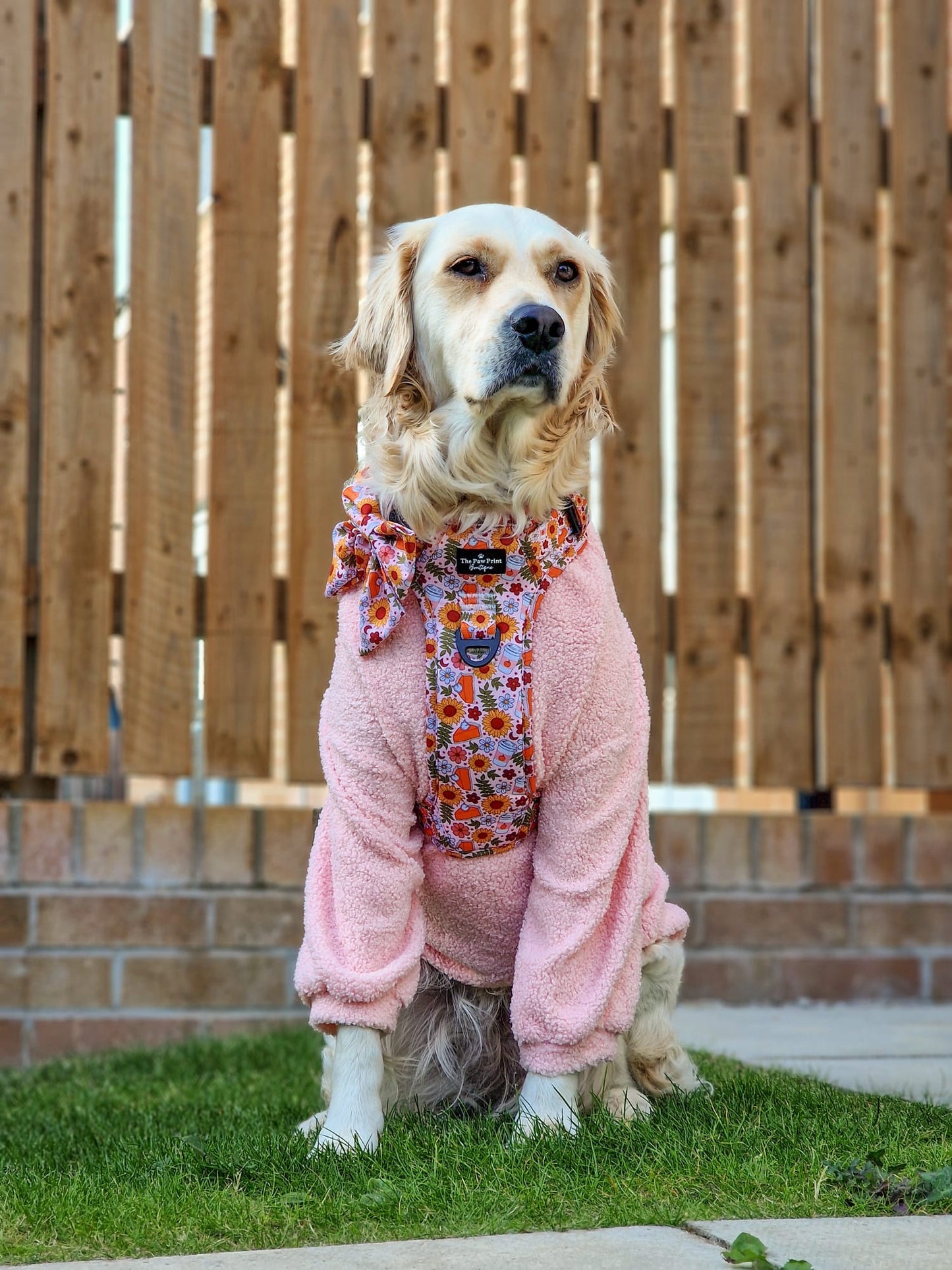 Teddy Fleece - Baby Pink