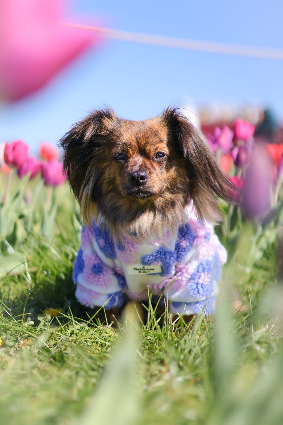 The Lavender Lilac Floral Fleece