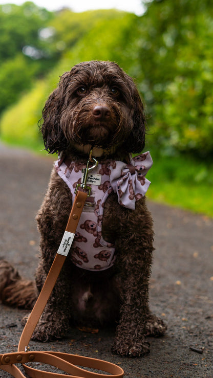 Waterproof Lead - Brownie