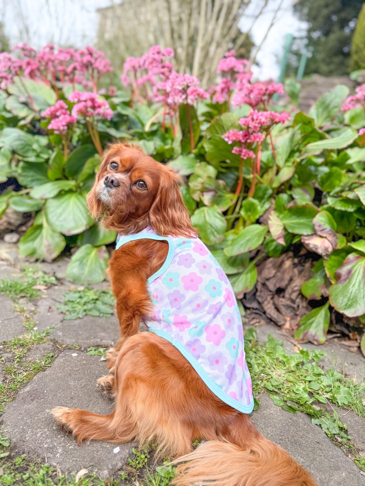 Minty Meadows / Flower Power Cooling Vest