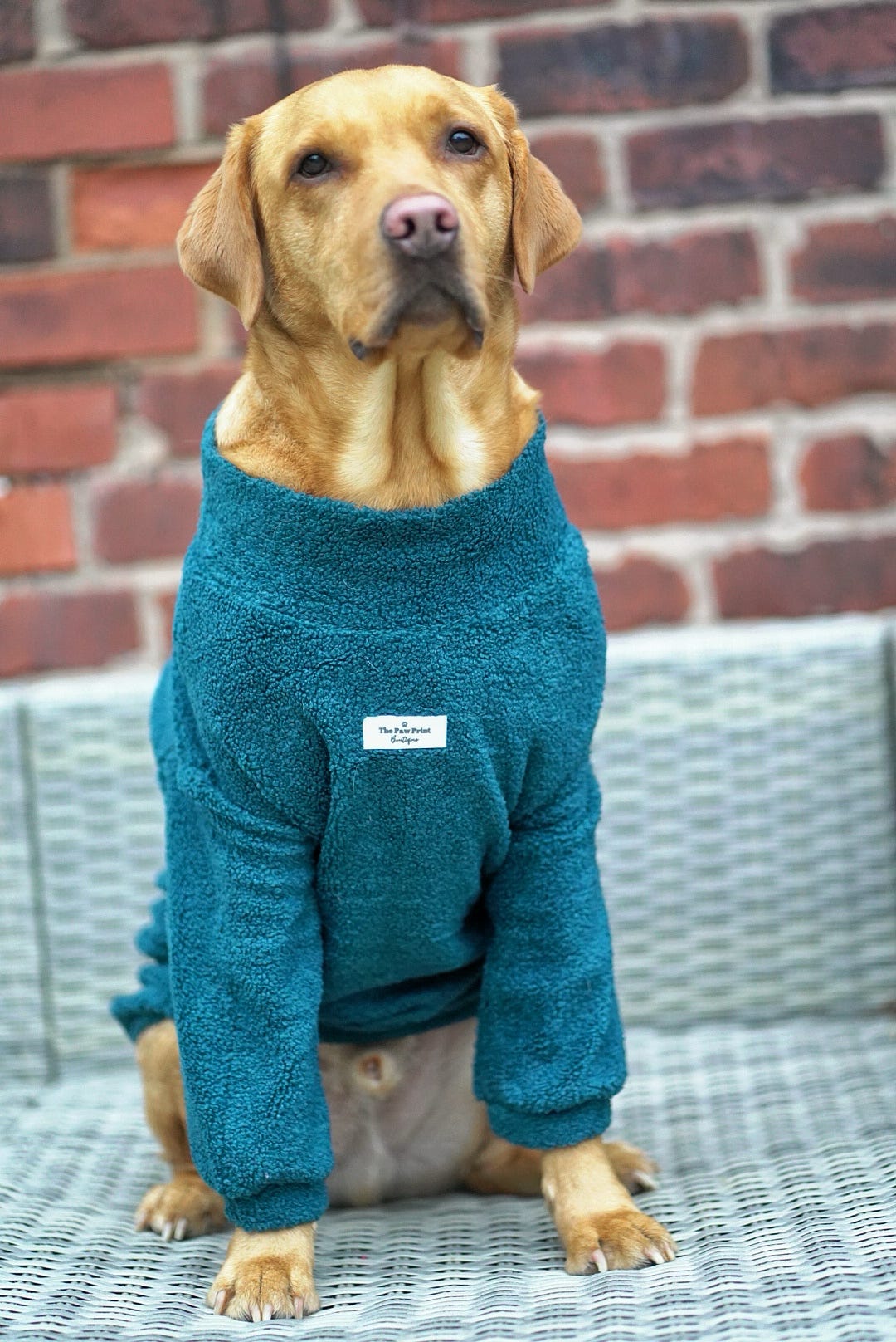 Teddy Fleece - Teal