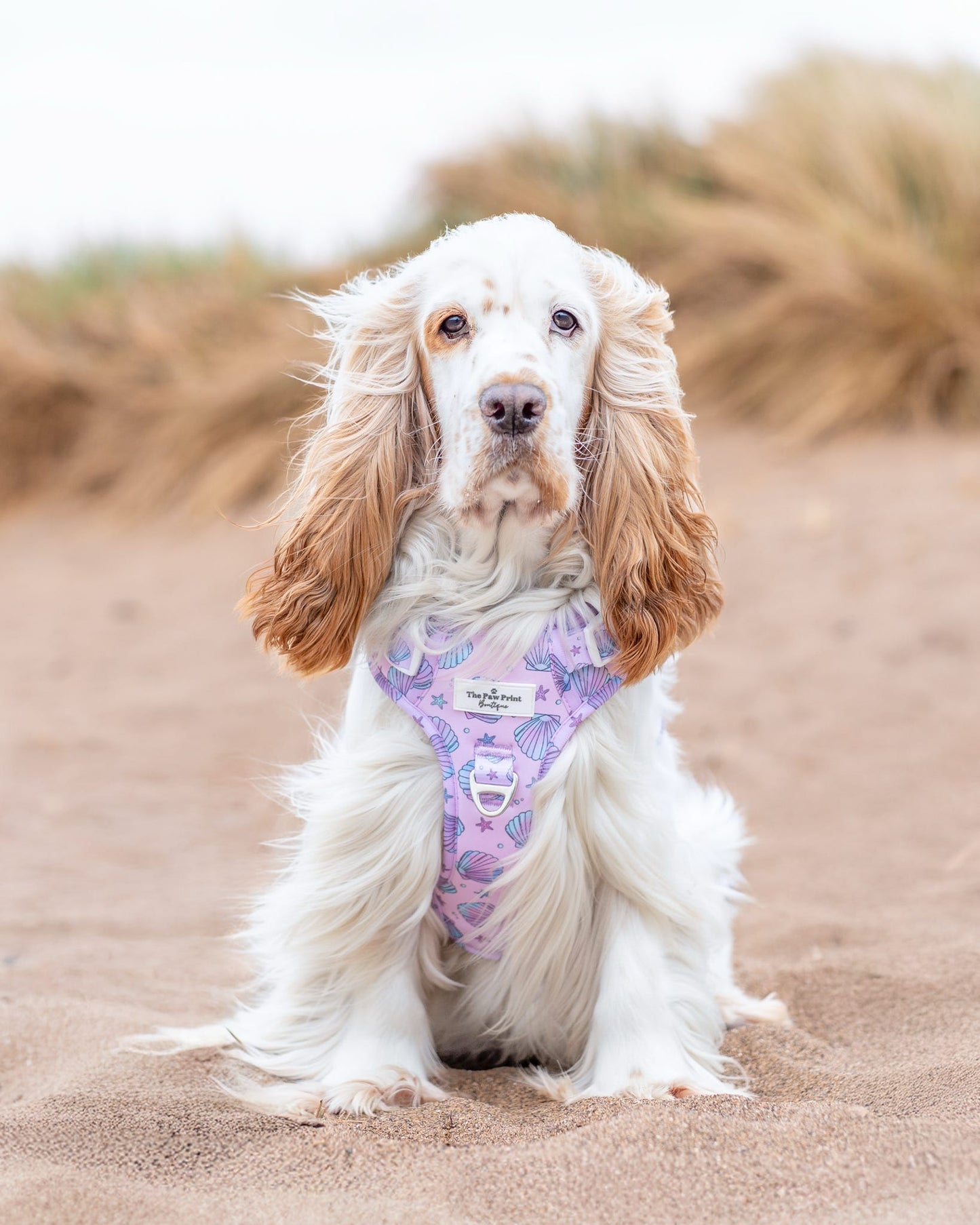Mermaids Tails Adventure Paws Harness