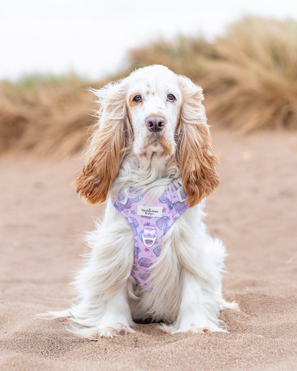 Mermaids Tails Adventure Paws Harness